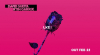 David Guetta Martin Garrix & Brooks - Like I Do Teaser