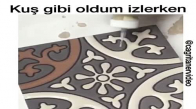 Kuş Gibi Oldum İzlerken