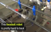 Saniyede 300 Kare Fotoğraf Çekerek Langırt Oynayan Robot