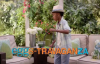 Black-ish 4. Sezon 17. Bölüm Fragmanı