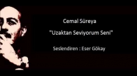 Cemal Süreya Uzaktan Seviyorum Seni