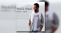 Halil Koçak - Çelişki