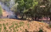 Ödemiş'te yangın- İlk müdahaleyi bölgede yaşayan yurttaşlar yaptı