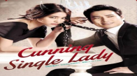 Cunning Single Lady 14. Bölüm İzle