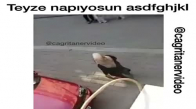 Teyzenin Çığlığı Herkesi Korkuttu