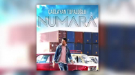 Çağlayan Topaloğlu - Numara 