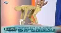 Hangi Hatalar Fıtık Yapıyor