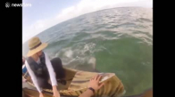 Kano Balıkçılarına Saldıran Köpekbalığı