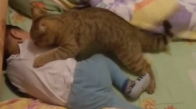 Ağlayan Bebeği Teselli Eden Kedi