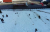 TEM bağlantı yolu kenarında çocukların karda tehlikeli oyunu 