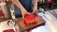 Kırmızı Kral Yengeci Pişirme - Tayvan Sokak Lezzetleri
