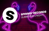 Spinnin' Records Summer Night Mix 2018