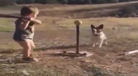 Köpeğe Topu Fırlatan Çocuğun Neşesi