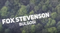 Fox Stevenson - Bulgogi Bass Boosted