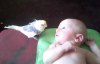 Parrot Bebek İçin Söylüyor
