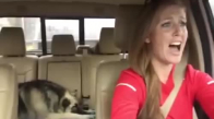 Sahibiyle Beraber Şarkı Söyeleyen Köpek :)