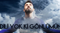 Sancak - Dili Yok Ki Gönlümün