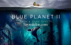 Blue Planet II 1. Sezon 4. Bölüm İzle