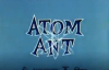 Atom Karınca 16.Bölüm ( Eğlence Parkı Amazement) İzle