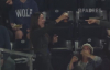 Beyzbol Topunu Bira Bardağıyla Yakalayan Kadın