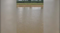 Drone Kullanarak Nehirde Balık Tutmak