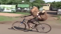 Bisiklette Koyun Taşımak