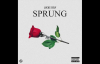 Lucas Coly - Sprung (New Music 2017)