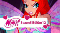 Winx Club - 5. Sezon 12. Bölüm - Cesaret Testi