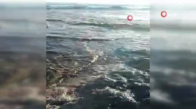 Karataş sahilleri bilinmeyen maddeyle kaplandı 
