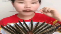 Çerez Yer Gibi Börtü Böcek Yiyen Asyalı Kız