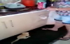 Biberon İle Kendi Sütünü İçen Minik Kedi