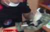 Klozete Sıkışan Yavru Kediyi Kurtarma Operasyonu Kamerada
