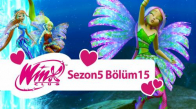 Winx Club - 5. Sezon 15. Bölüm - Işık Sütunu