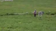 Çocukla Atın Oyunaması