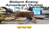 Bülent Ersoy Amerikan Dublaj 