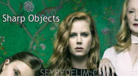 Sharp Objects 1. Sezon 4. Bölüm İzle