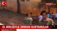 İstanbul Heybeli Ada'da Orman Yangını! İşte Görüntüler
