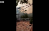 Bodrum yangını- Çökertme ve Ören'de evlerini kaybedenler anlatıyor