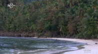 Survivor 2017 -Oyun Sonrası Muhabbetler