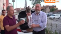 Yaralı Şahini Belediye Ekiplerine Teslim Etti