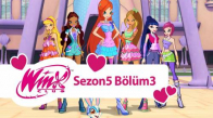 Winx Club - 5. Sezon 3. Bölüm - Alfea’ya Dönüş