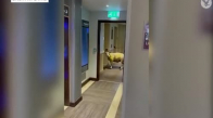 Otel Koridorunda Asansör Bekleyen Koyun