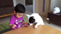 Elindeki Yemeği Köpek Yiyince Ağlamaya Başlayan Bebek