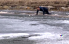 Donmuş Göle Düşen Köpeği Kurtaran Kanadalı