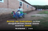 Tanzanyalı Yapışık İkizlerin Hayali, Öğretmen Olmak