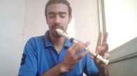 Pirates of the Caribbean - Recorder Beatbox - Medhat Mamdouh