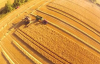 Buğday hasatını helikopterden izlediniz mi hiç!!! Muhteşem görüntüler!!!