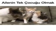 Ailenin Tek Çocuğu Olmak