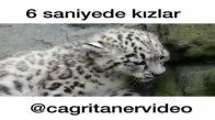 6 Saniyeden Kızlar