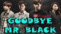 Goodbye Mr. Black 4. Bölüm İzle